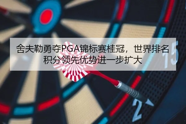 she-fu-lei-yong-duo-jin-biao-sai-gui-guan-shi-jie-pai-ming-ji-fen-ling-xian-you-shi-jin-yi-bu-kuo-da-2-562.jpg